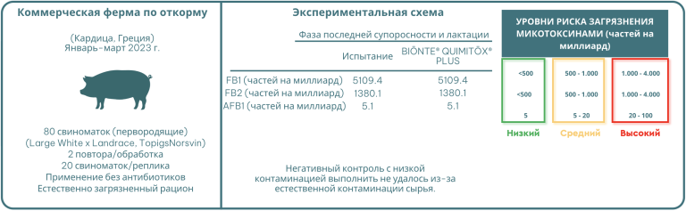 Рисунок 1. Экспериментальная схема двух испытаний.